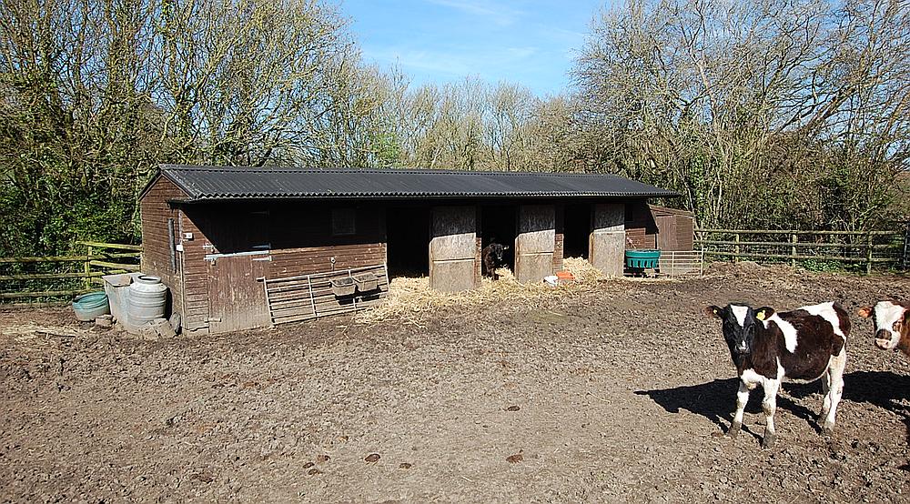 Lower Odcombe SOMERSET