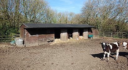 Lower Odcombe SOMERSET