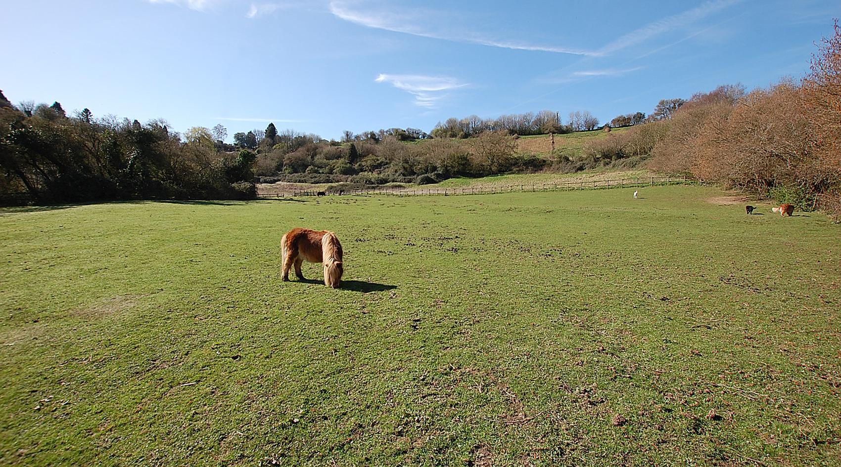 Lower Odcombe SOMERSET