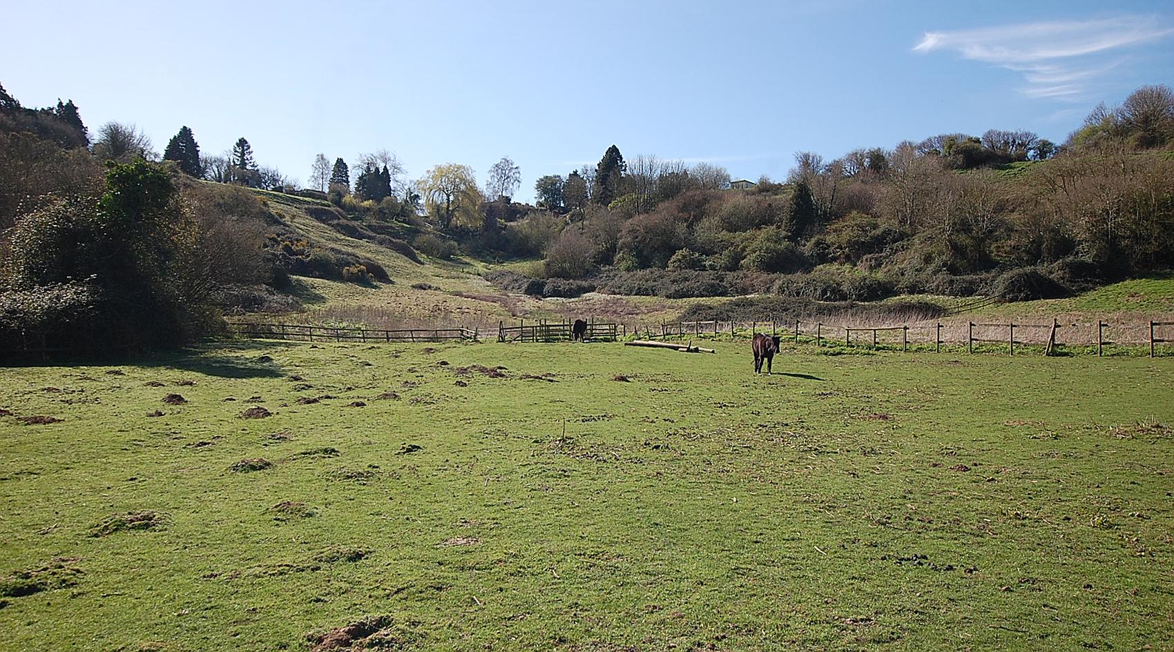 Lower Odcombe SOMERSET