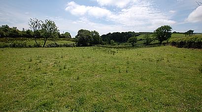 Alltwalis CARMARTHENSHIRE