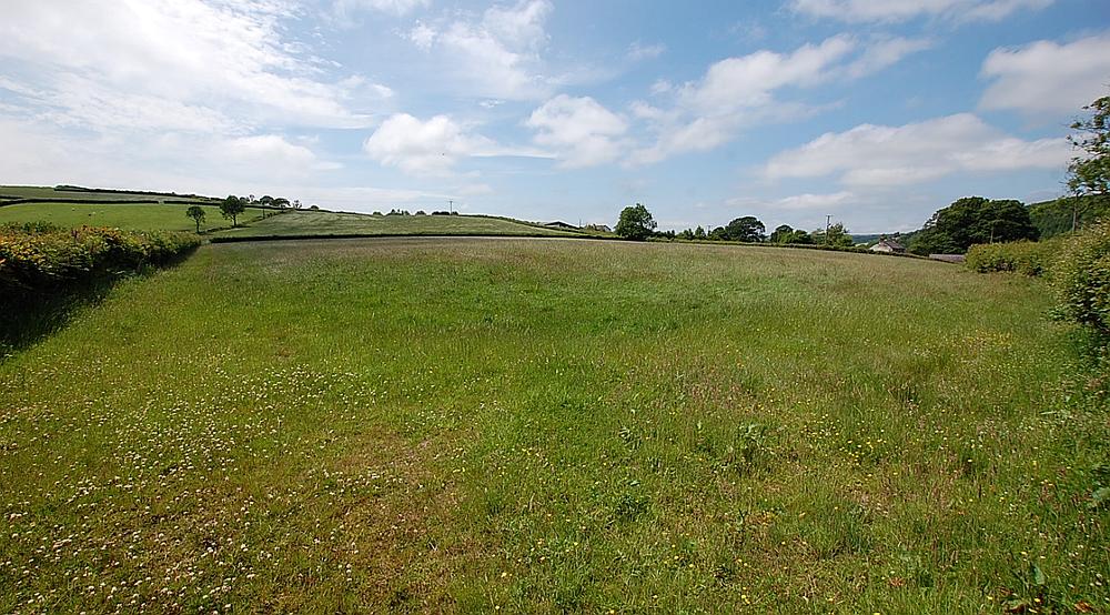 Alltwalis CARMARTHENSHIRE