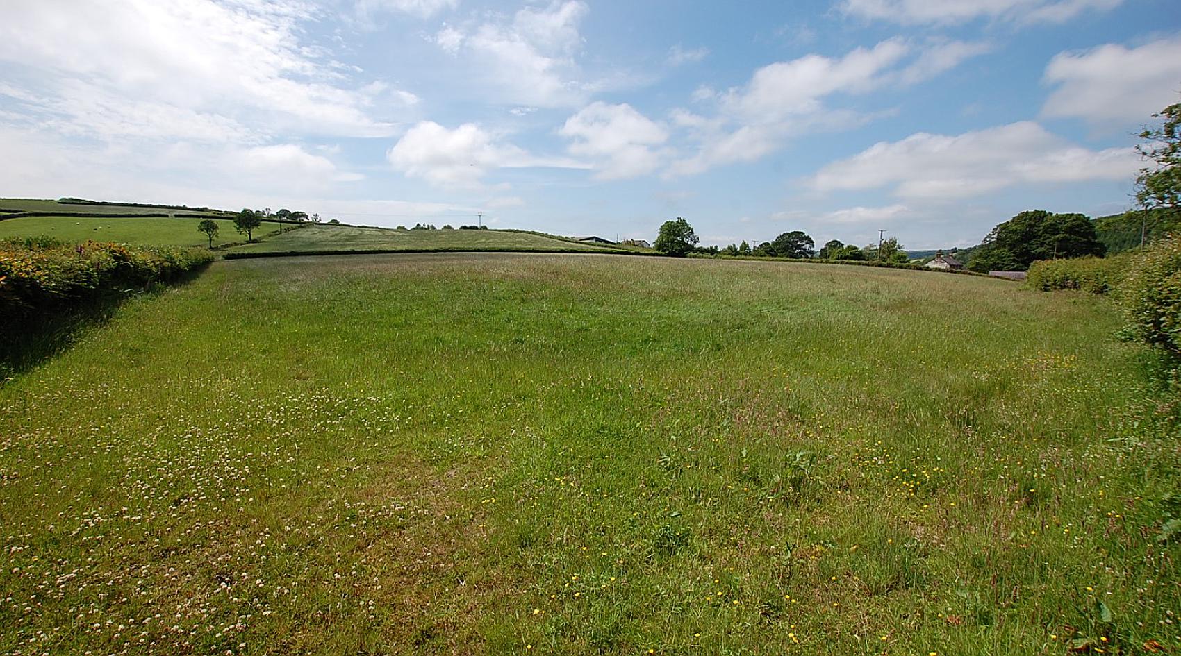 Alltwalis CARMARTHENSHIRE