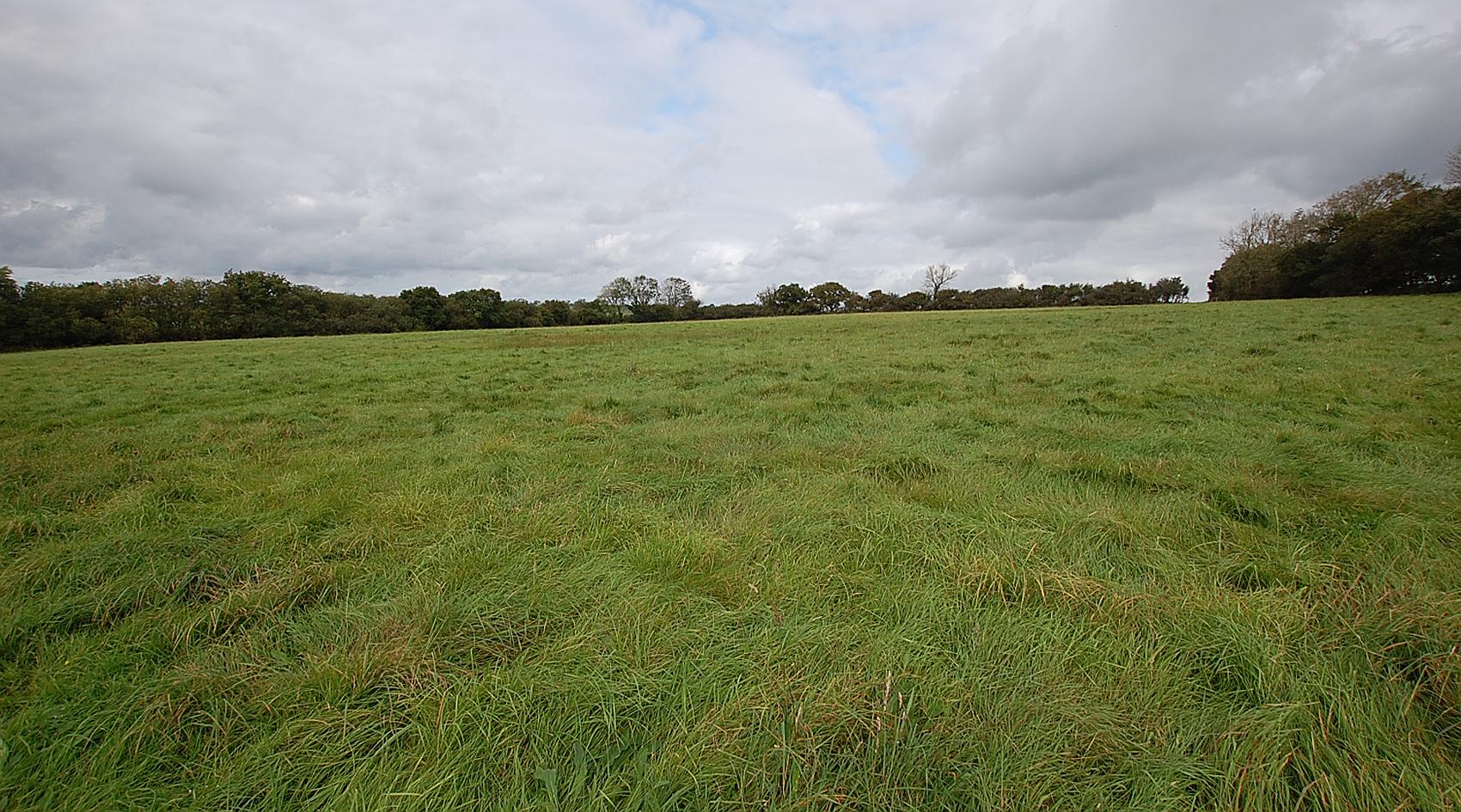 Meidrim CARMARTHENSHIRE