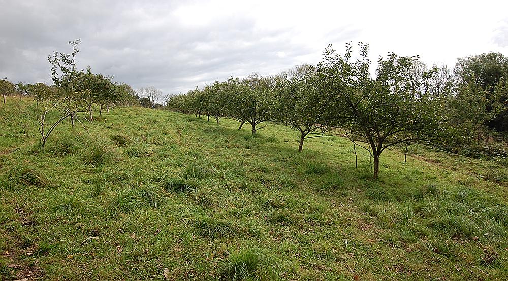Meidrim CARMARTHENSHIRE