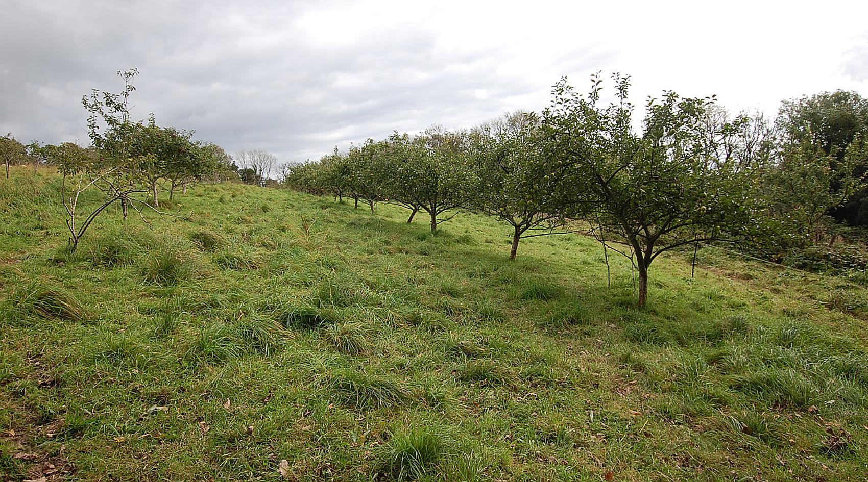 Meidrim CARMARTHENSHIRE
