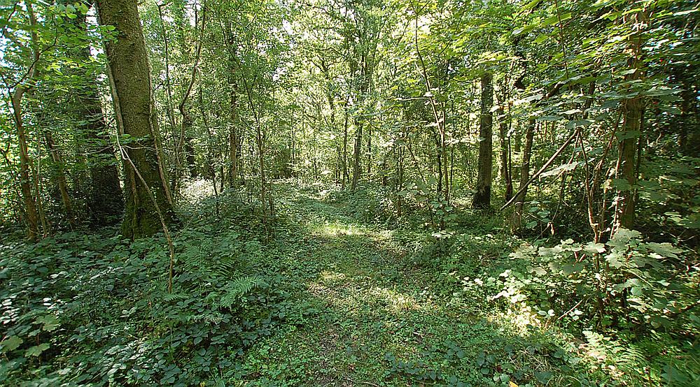 Cwmifor CARMARTHENSHIRE