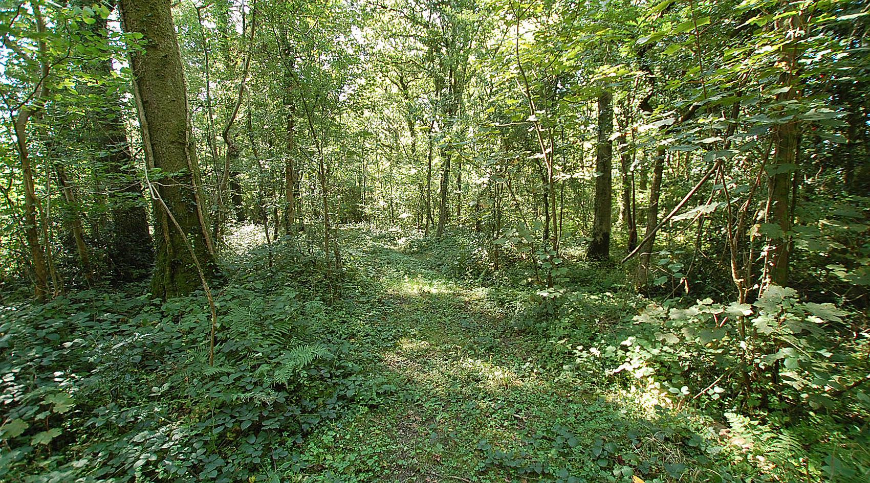 Cwmifor CARMARTHENSHIRE