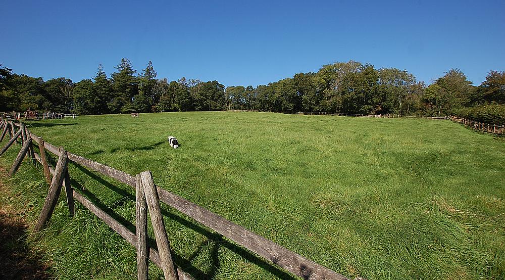 Cwmifor CARMARTHENSHIRE
