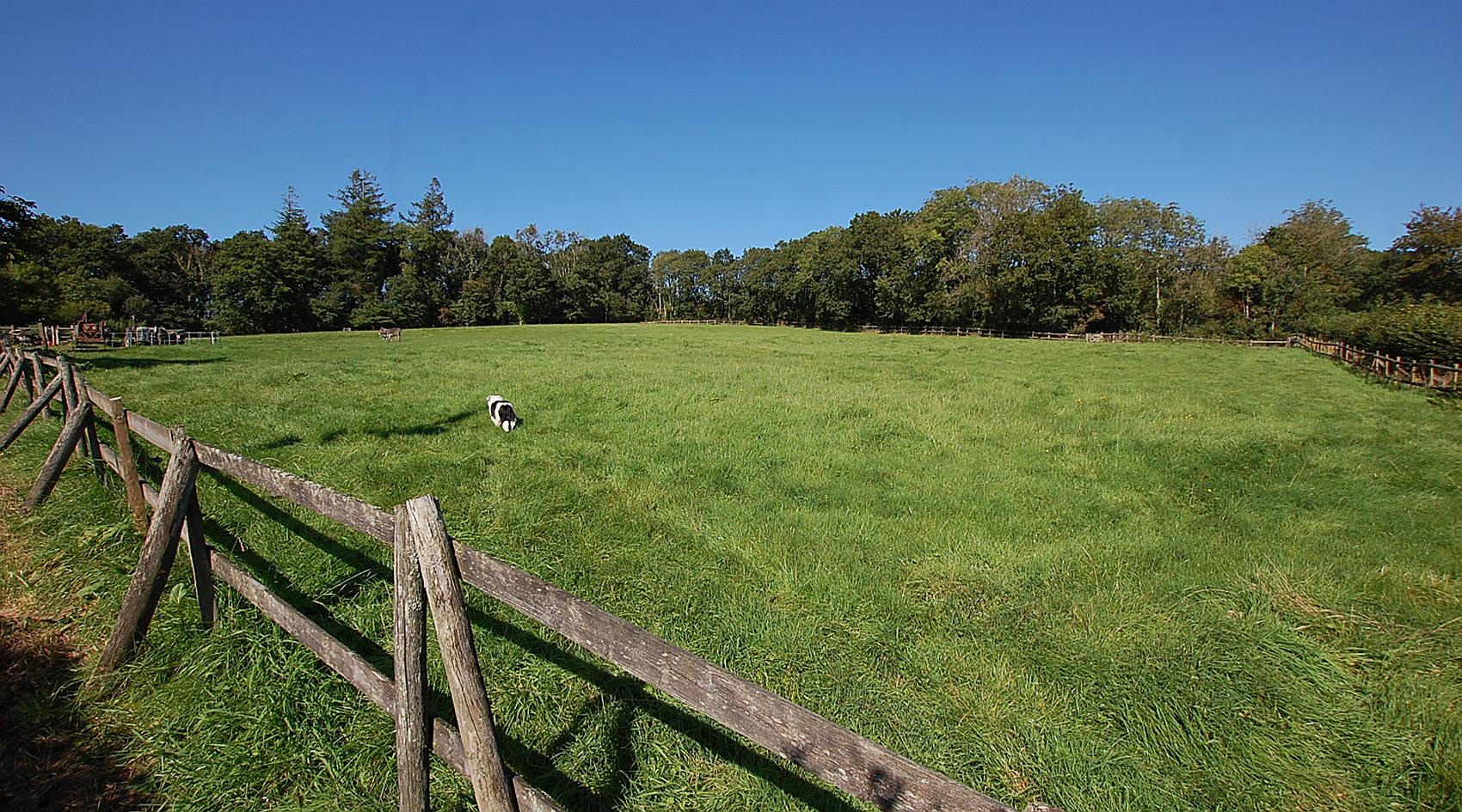 Cwmifor CARMARTHENSHIRE