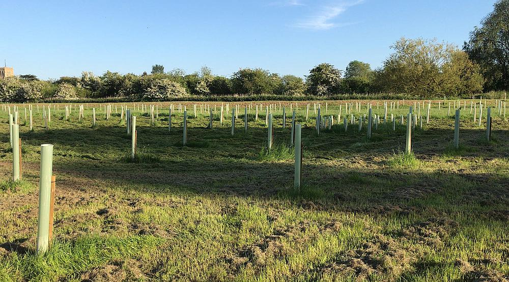 Swavesey CAMBRIDGESHIRE