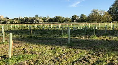 Swavesey CAMBRIDGESHIRE