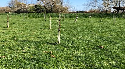 Swavesey CAMBRIDGESHIRE