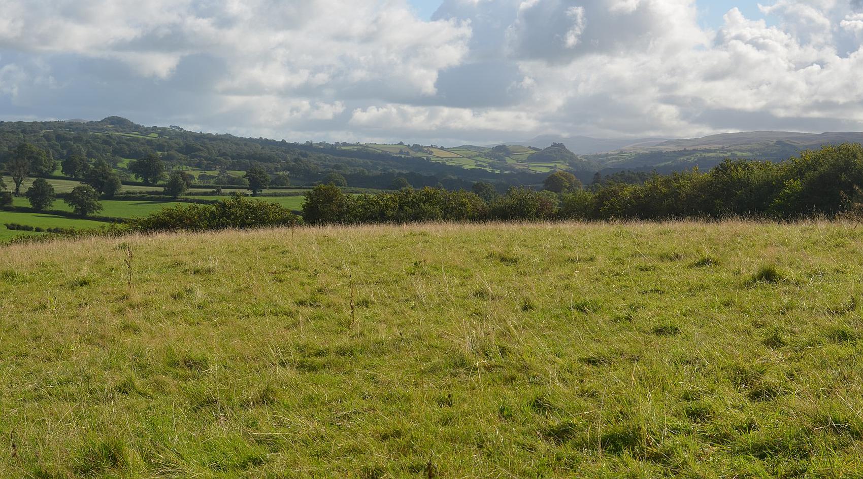 Llandybie CARMARTHENSHIRE