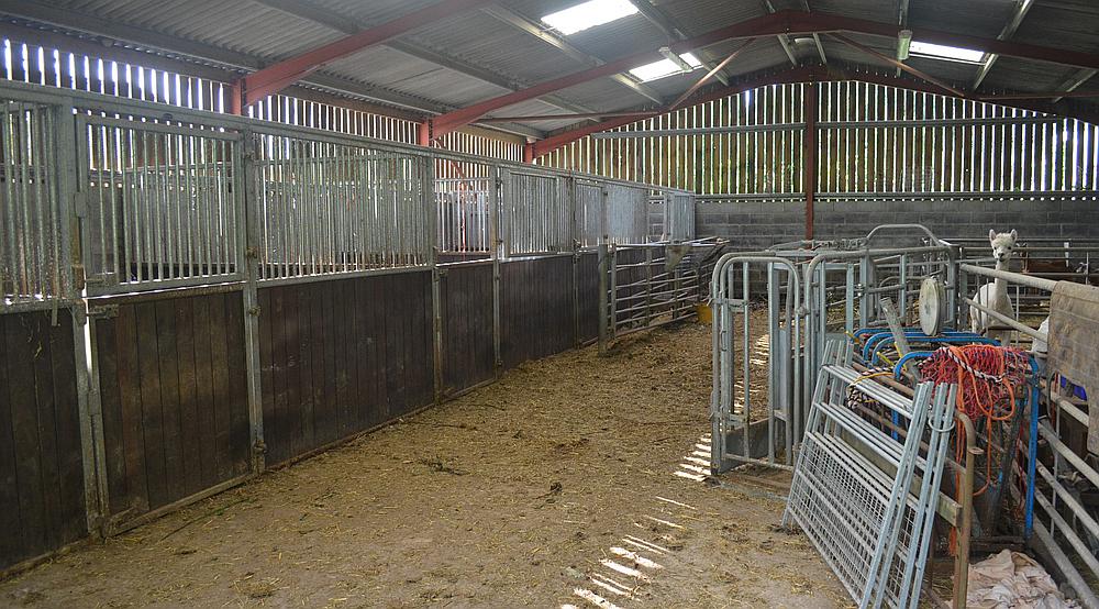 Llandybie CARMARTHENSHIRE