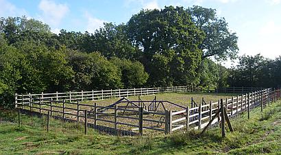 Llandybie CARMARTHENSHIRE