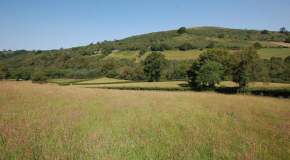 Talley CARMARTHENSHIRE