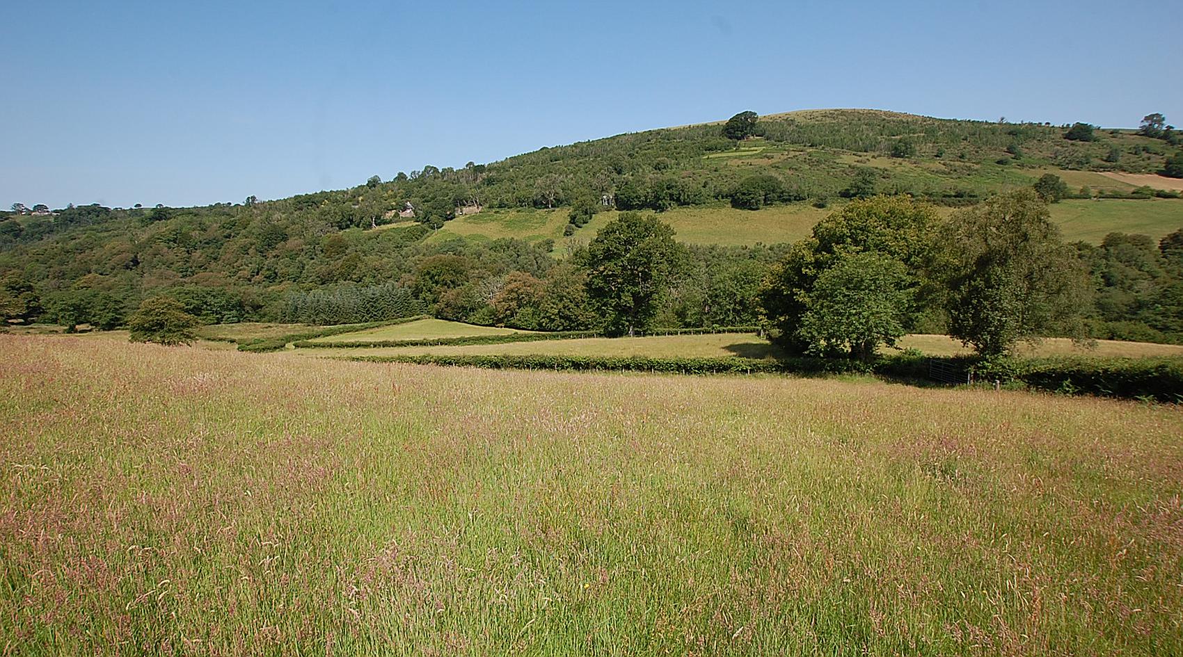 Talley CARMARTHENSHIRE