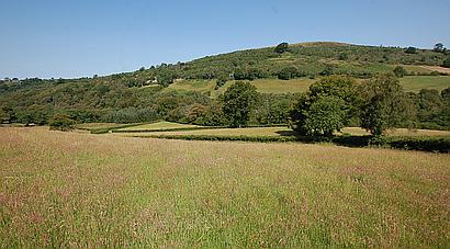 Talley CARMARTHENSHIRE