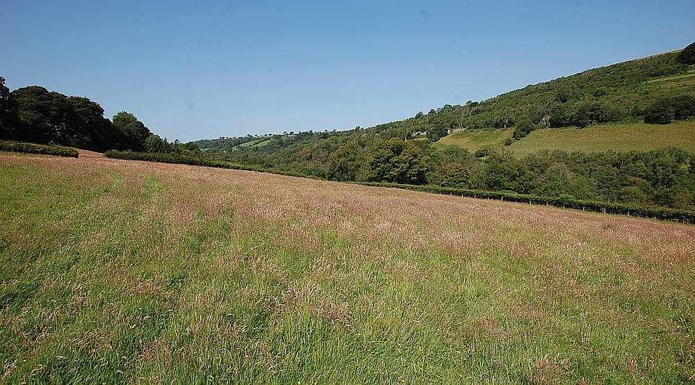 Talley CARMARTHENSHIRE