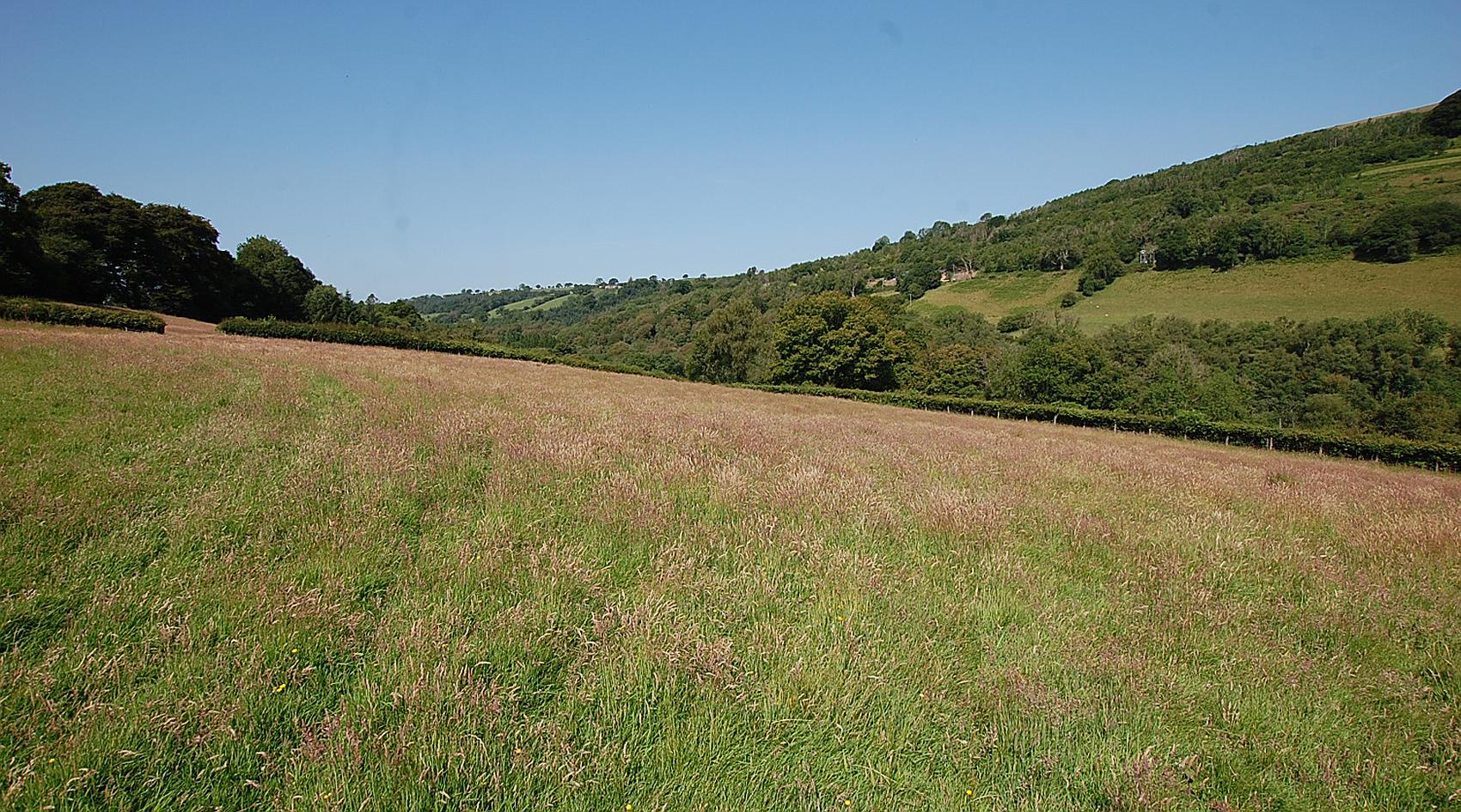 Talley CARMARTHENSHIRE