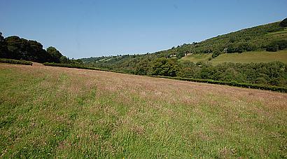 Talley CARMARTHENSHIRE