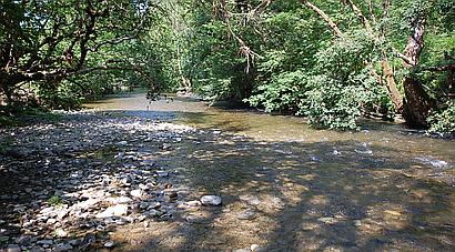 Talley CARMARTHENSHIRE