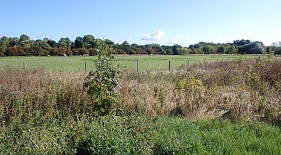 Sutton St Edmund LINCOLNSHIRE