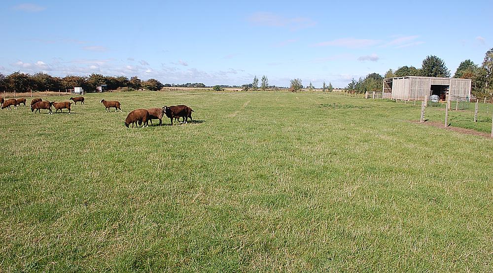 Sutton St Edmund LINCOLNSHIRE