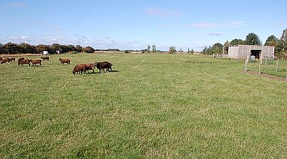 Sutton St Edmund LINCOLNSHIRE