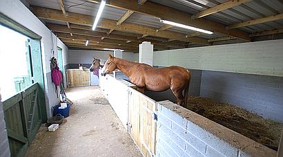 Treharris SOUTH WALES