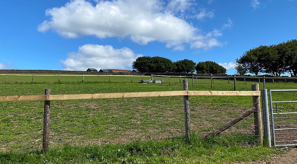 Treharris SOUTH WALES