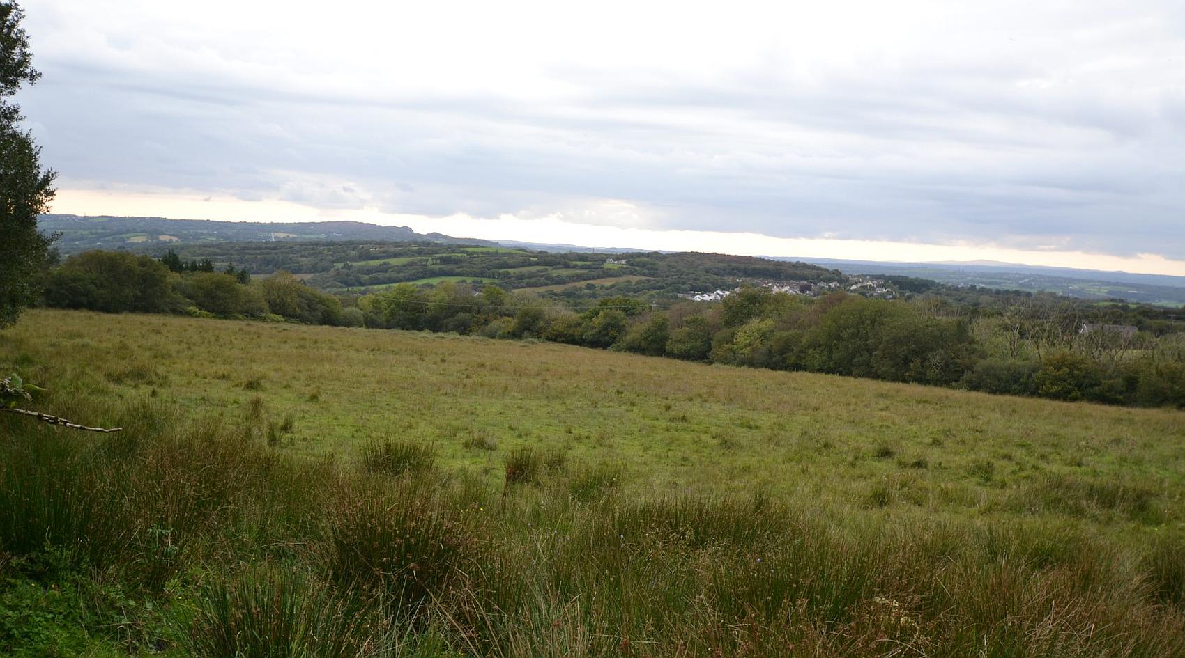 Gorslas CARMARTHENSHIRE