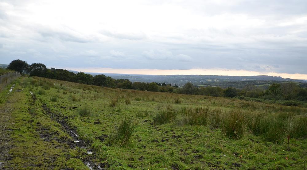 Gorslas CARMARTHENSHIRE