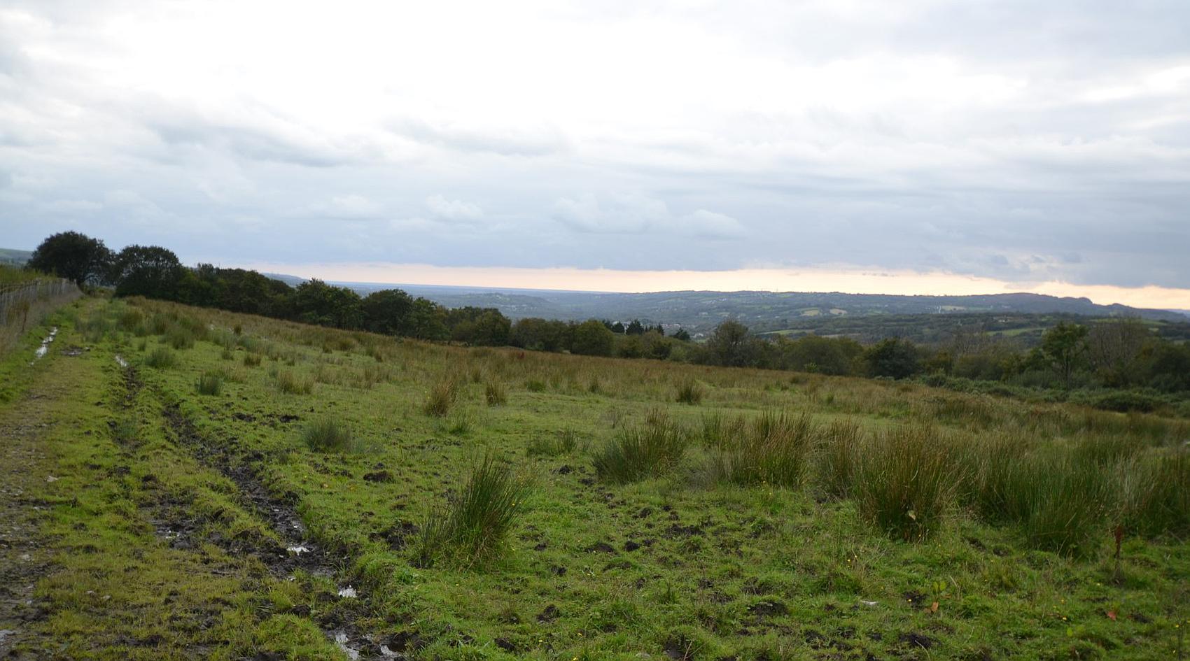 Gorslas CARMARTHENSHIRE