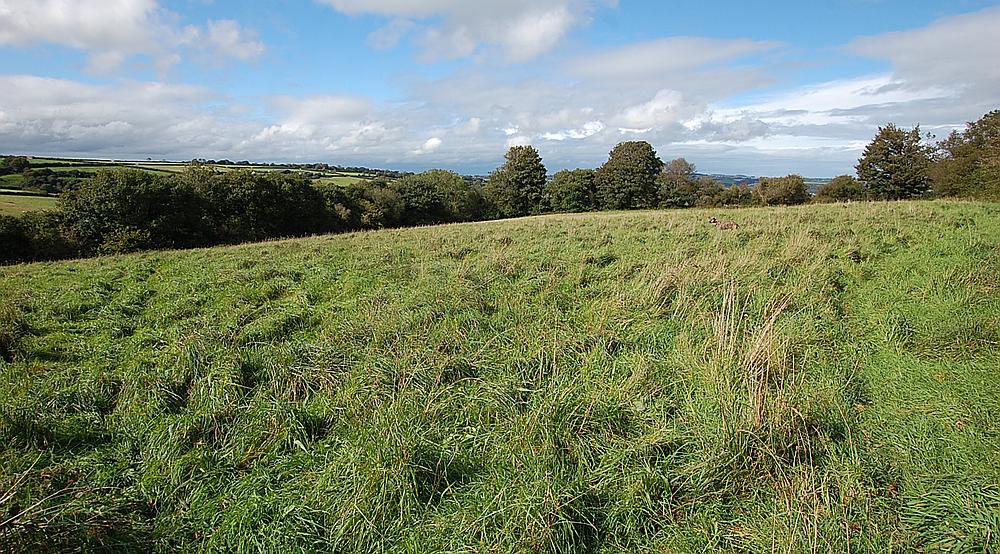 Drefach Felindre CARMARTHENSHIRE