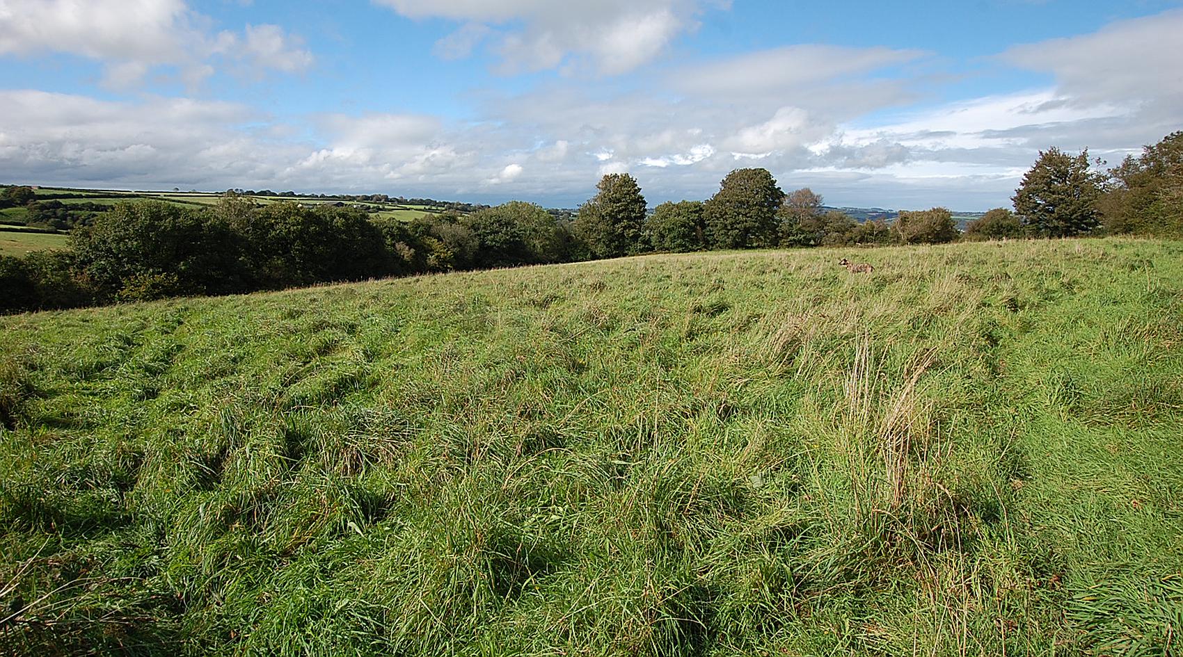 Drefach Felindre CARMARTHENSHIRE