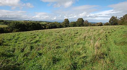 Drefach Felindre CARMARTHENSHIRE