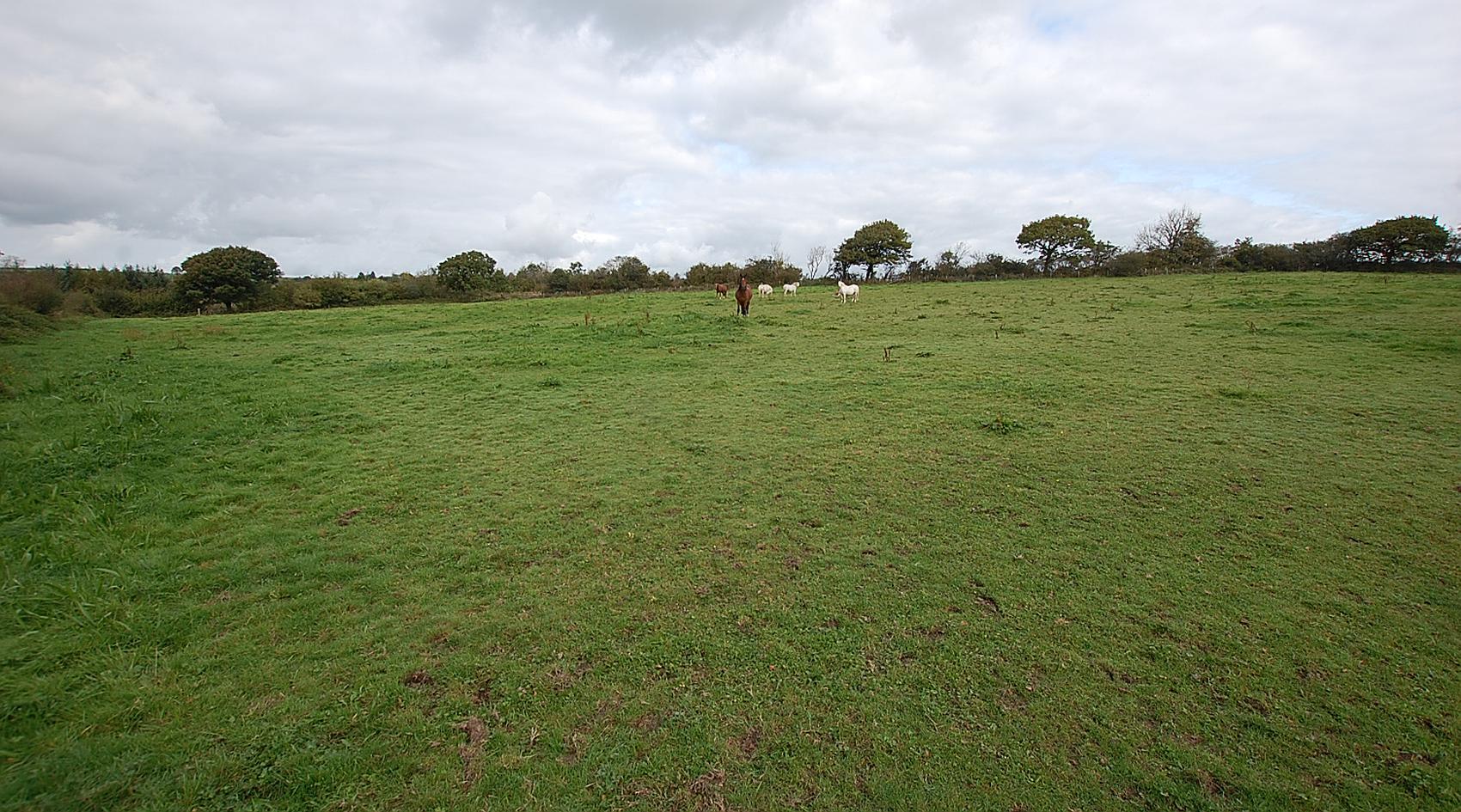 Conwyl Elfed CARMARTHENSHIRE