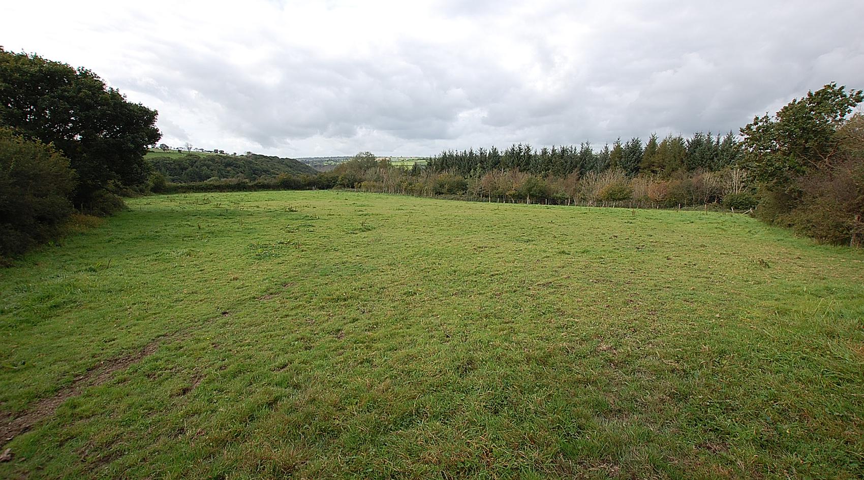 Conwyl Elfed CARMARTHENSHIRE