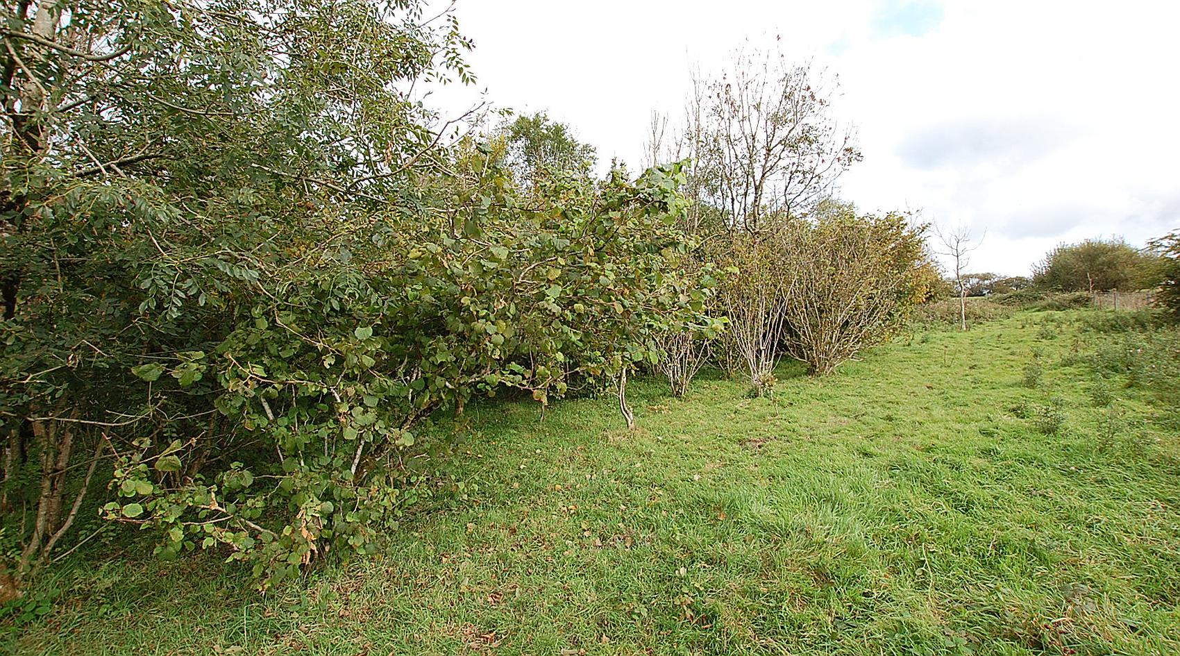 Conwyl Elfed CARMARTHENSHIRE