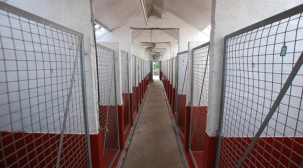 Pontarddulais CARMARTHENSHIRE