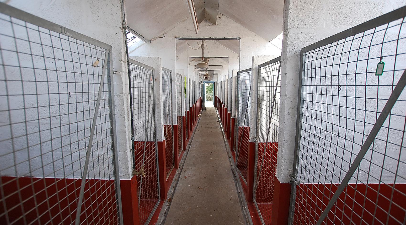 Pontarddulais CARMARTHENSHIRE