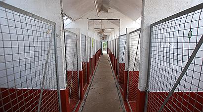 Pontarddulais CARMARTHENSHIRE