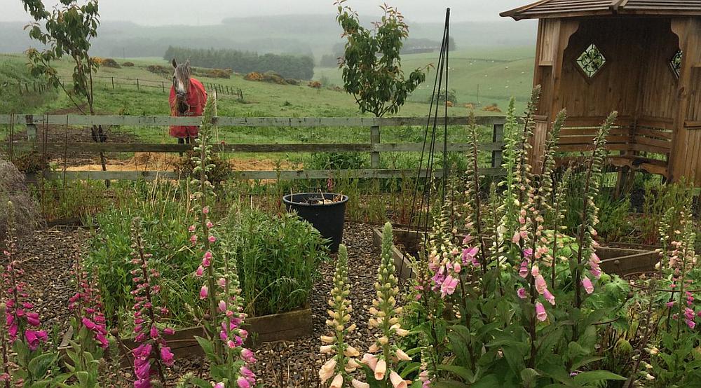 Turriff ABERDEENSHIRE