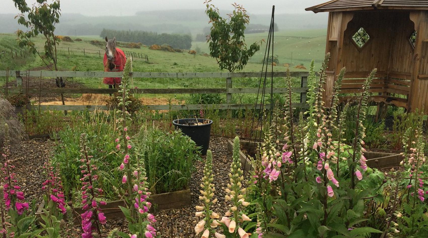 Turriff ABERDEENSHIRE