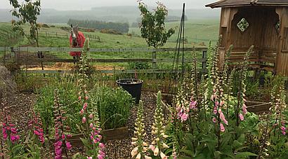 Turriff ABERDEENSHIRE