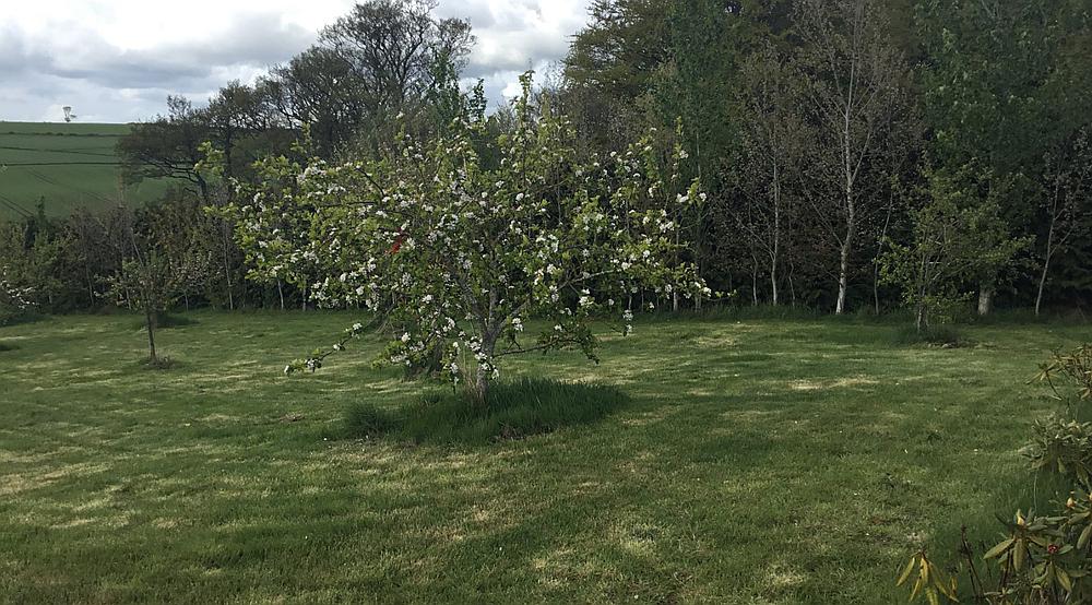 Turriff ABERDEENSHIRE