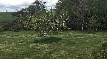 Turriff ABERDEENSHIRE