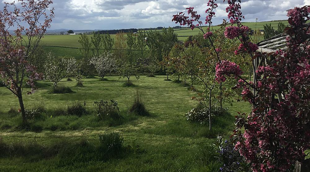 Turriff ABERDEENSHIRE